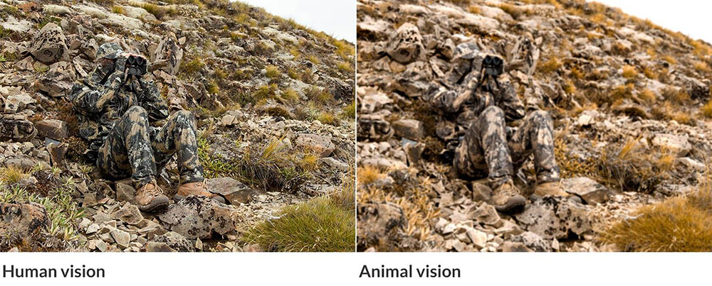 swedteam_camouflage_human-vision-animal-vision