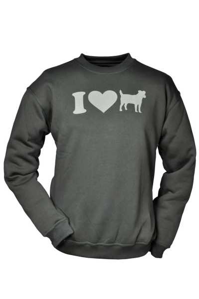 Sweatshirt "Terrier"