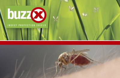 buzzX-insektenschutz